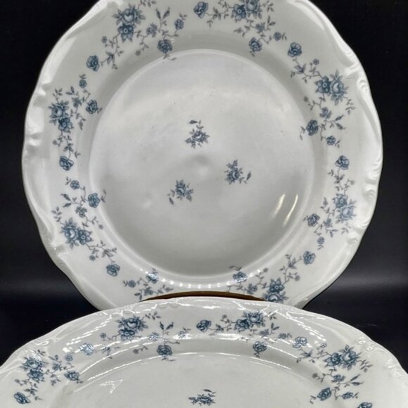 Set of 2 Johann Haviland Bavaria Germany Blue Garland 10” plates - Picture 1 of 4